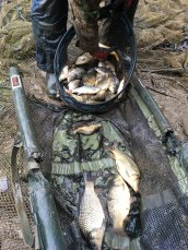 Selecting some of the bigger fish
