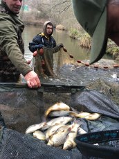 A net and a sling full
