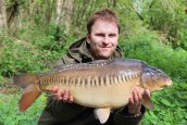 They aren't all massive, we have some new fish coming on but pure QUALITY - 15lb 8ozs